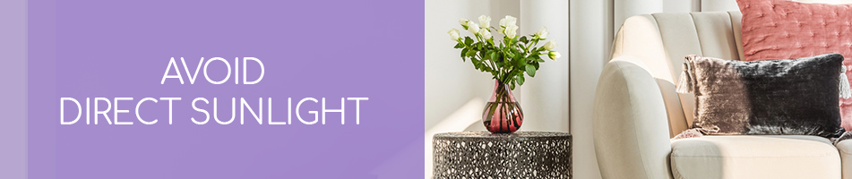 Image of a vase of white roses sitting on a side table in a living room