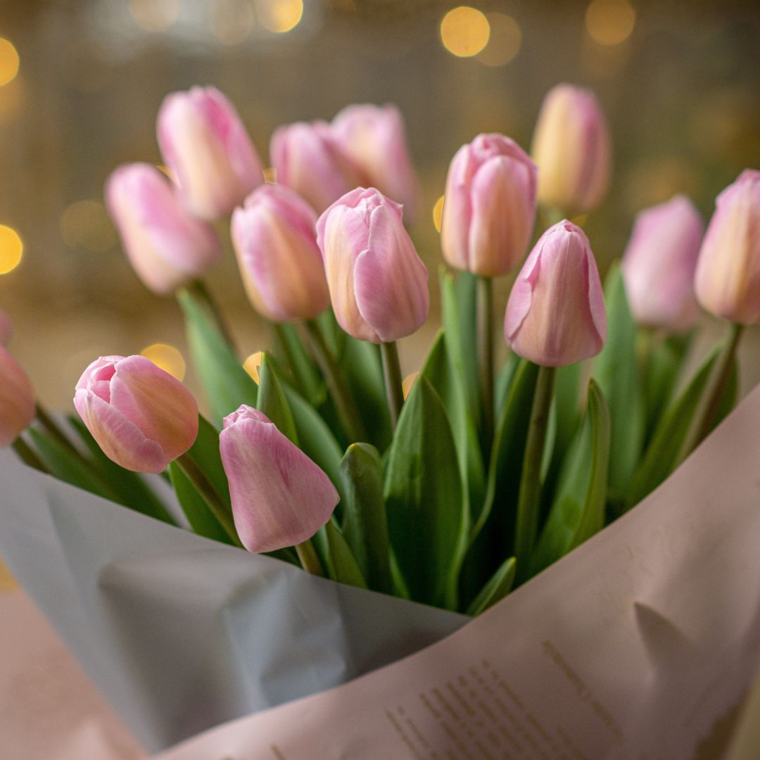 bouquet of tulips