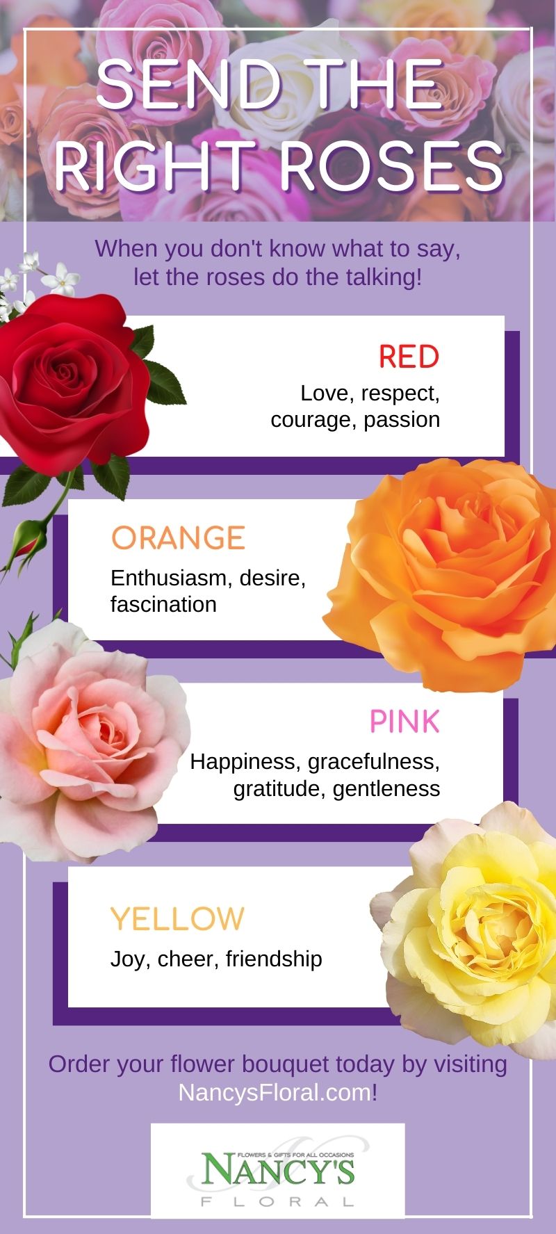 Rose Color Meanings & When To Gift Each Color